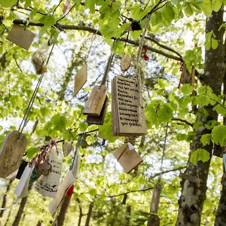 Lejlighed Kathreinkogelblick *